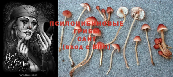 твердый Волоколамск