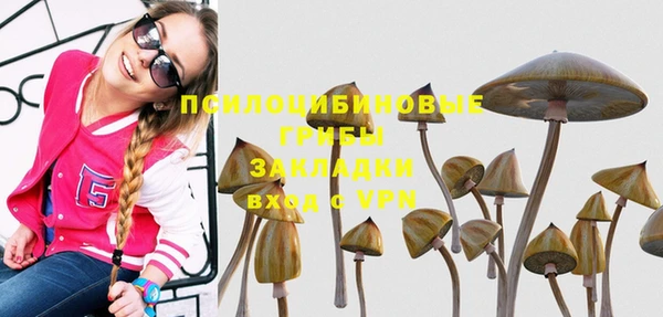 твердый Волоколамск
